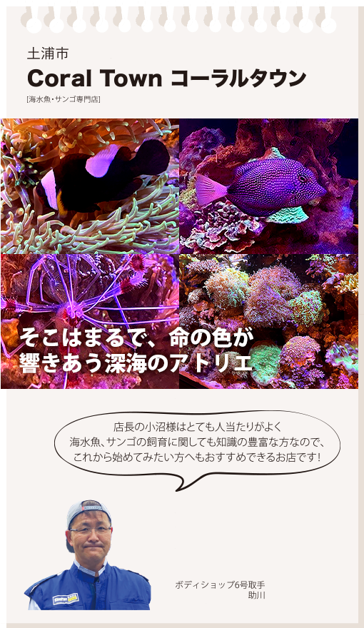 Coral Town コーラルタウン